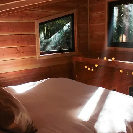 Cabanas Bosque Milenario Conaripe Exterior photo