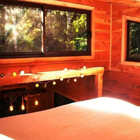 Cabanas Bosque Milenario Conaripe Exterior photo