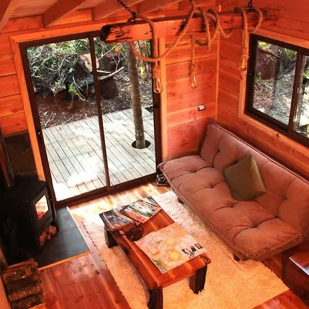 Cabanas Bosque Milenario Conaripe Exterior photo