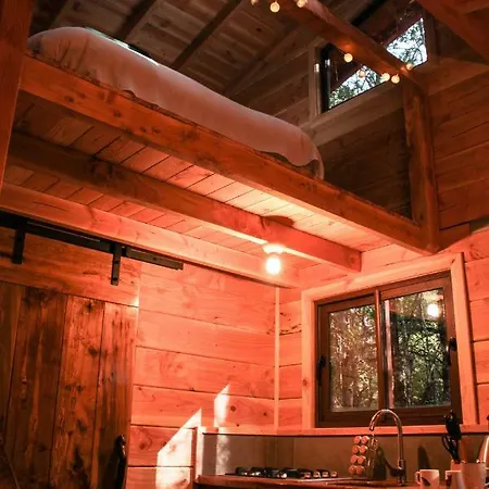 Cabanas Bosque Milenario Conaripe Exterior photo