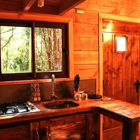 Cabanas Bosque Milenario Conaripe Exterior photo