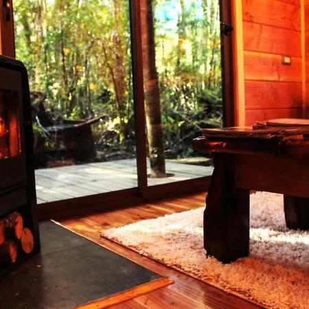 Cabanas Bosque Milenario Conaripe Exterior photo