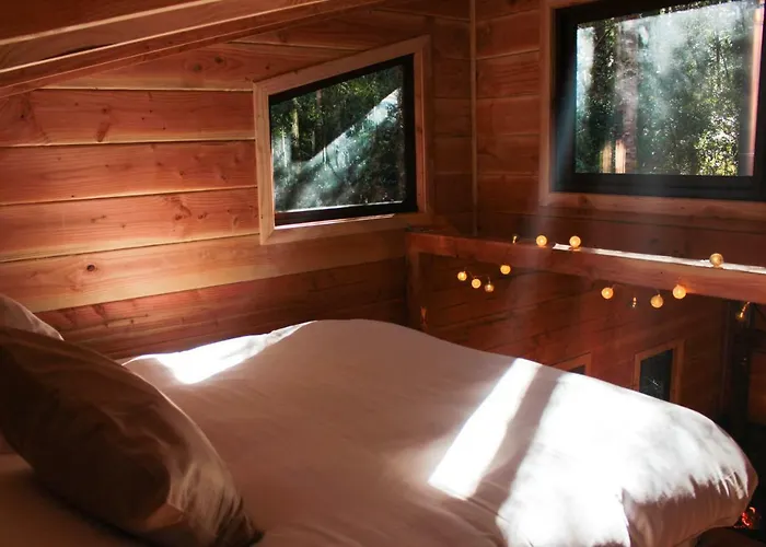 Cabanas Bosque Milenario