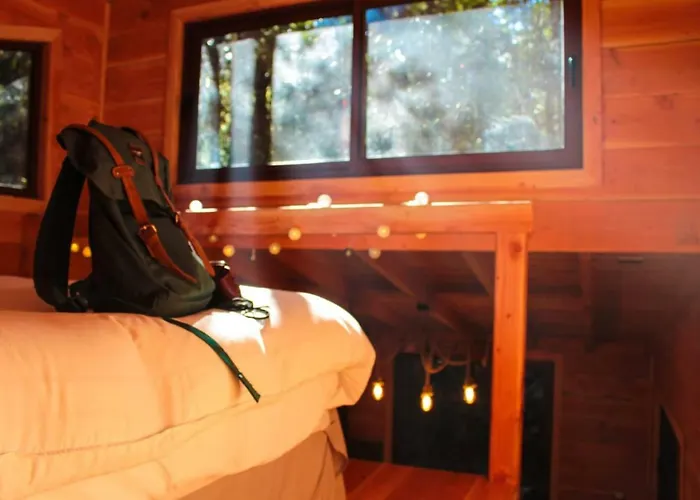 Cabanas Bosque Milenario