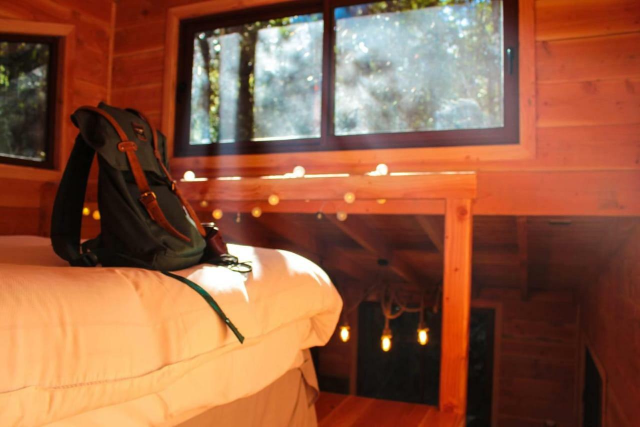 Lodge Bosque Milenario