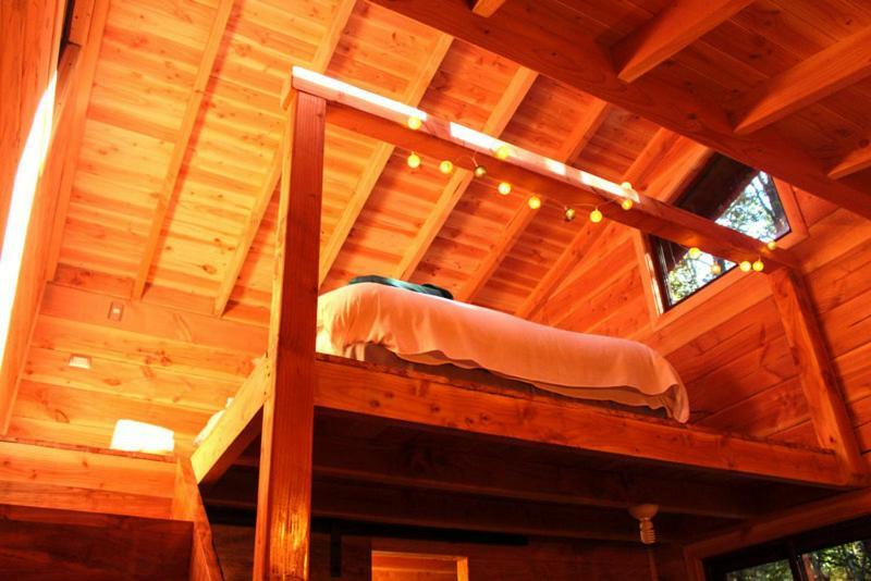 Lodge Bosque Milenario *