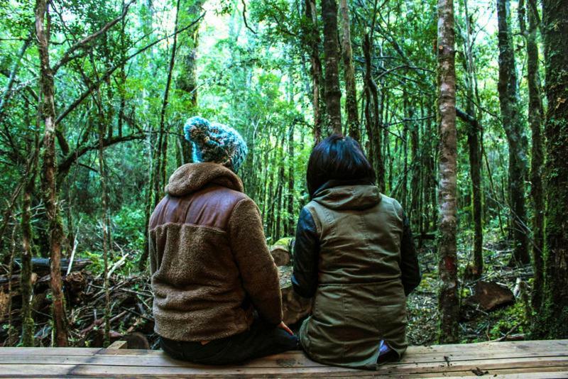 Lodge Bosque Milenario Conaripe