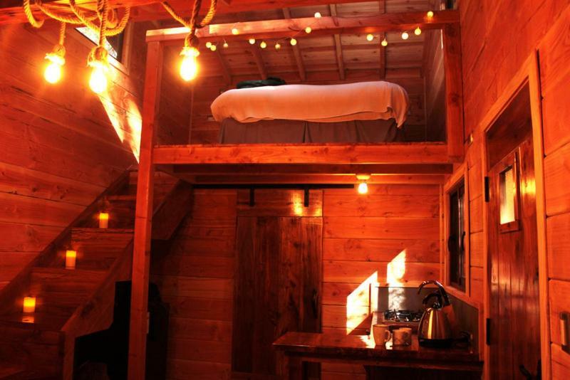 Lodge Bosque Milenario