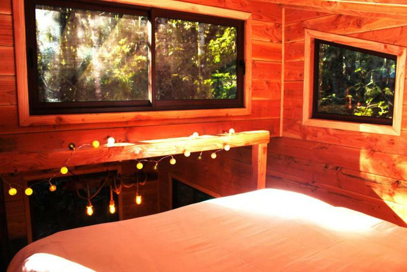Bosque Milenario Lodge