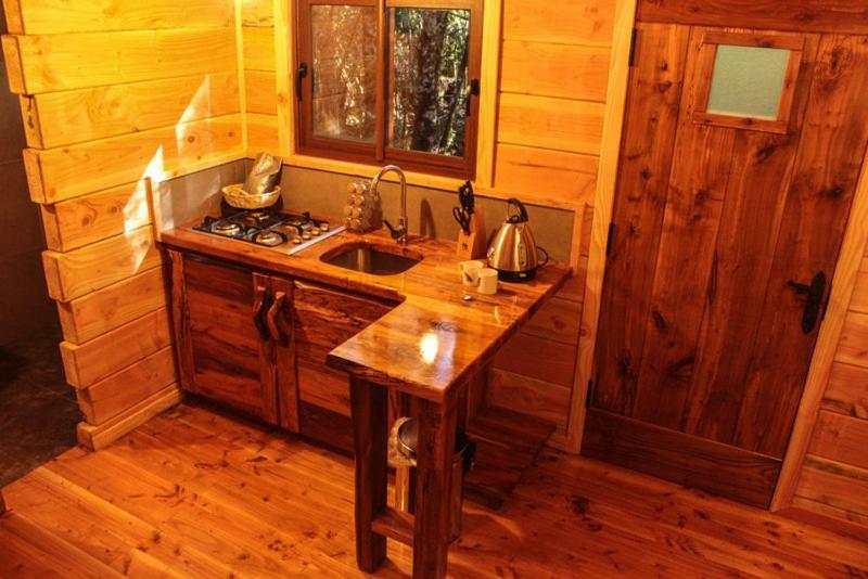 Lodge Bosque Milenario *