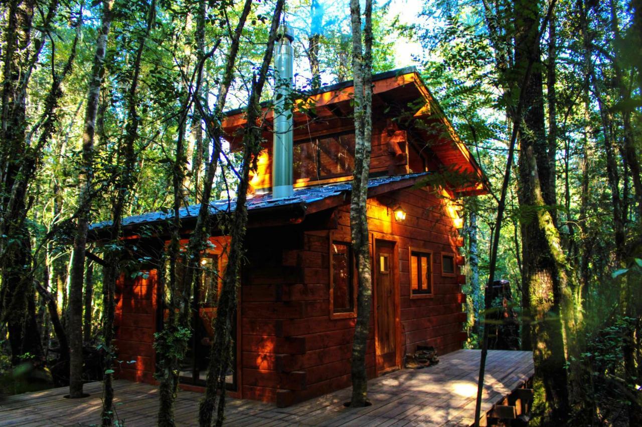 Bosque Milenario Conaripe