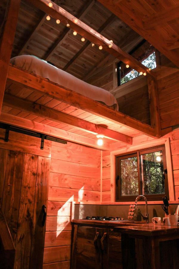Lodge Bosque Milenario *