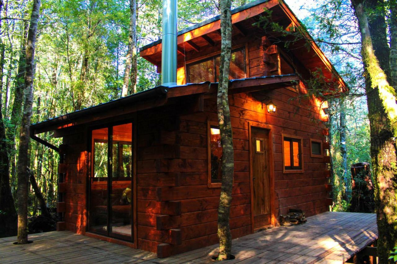 Bosque Milenario Lodge