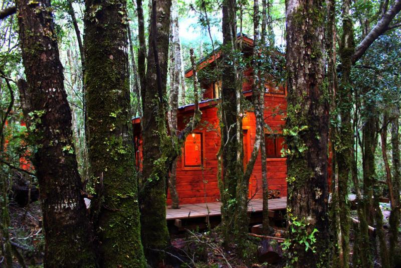 Bosque Milenario Lodge